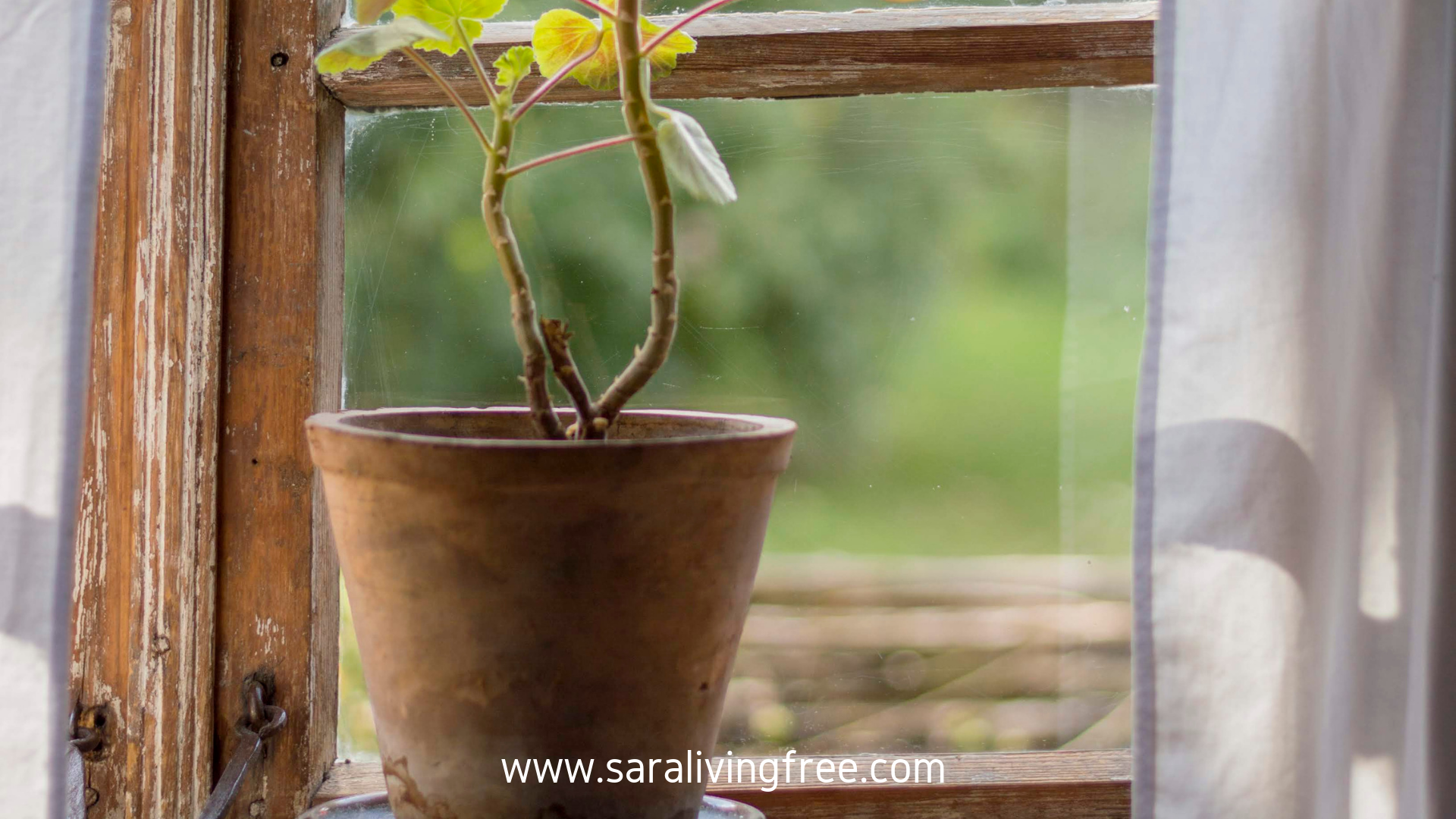 No-Sugar Mom Vs. Community-Minded Mom / Do you find it hard to find balance between all the "hats" you wear as a Mom? Then, this post is for you! Read and be encouraged.